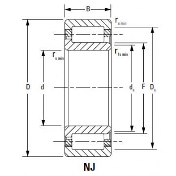 CYLINDRICAL ROLLER BEARINGS ONE ROW NJ2224EMA