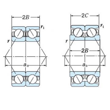 Bearing NSK 6056X1