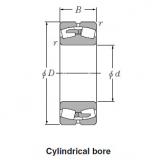 Bearing Spherical Roller Bearings 22232B