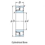 Bearing SPHERICAL ROLLER BEARINGS NSK 1470SL1961E4