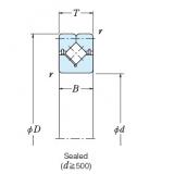 Bearing NSK ROLLER BEARINGS NRXT60040DD