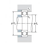 Bearing NSK 7028AX DF